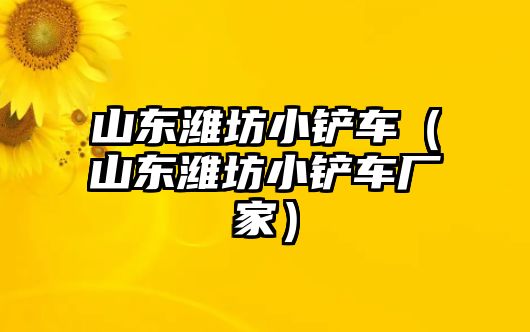 山東濰坊小鏟車（山東濰坊小鏟車廠家）