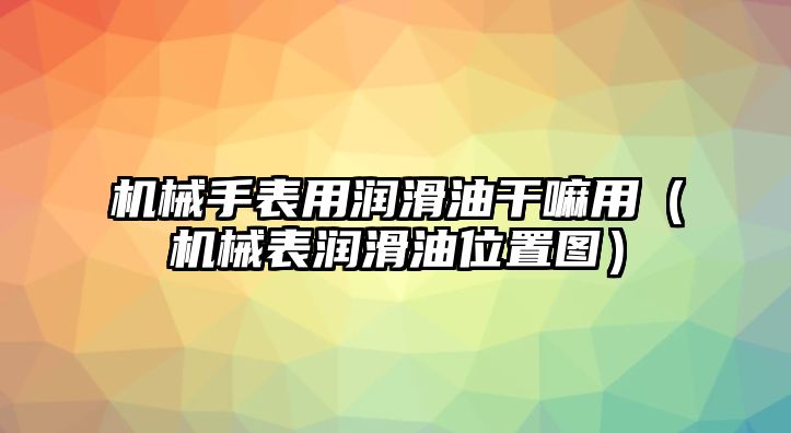 機械手表用潤滑油干嘛用（機械表潤滑油位置圖）