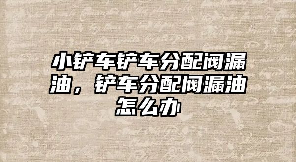 小鏟車鏟車分配閥漏油，鏟車分配閥漏油怎么辦