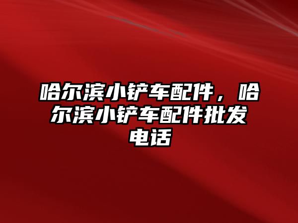 哈爾濱小鏟車配件，哈爾濱小鏟車配件批發電話