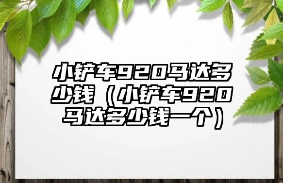 小鏟車920馬達多少錢（小鏟車920馬達多少錢一個）