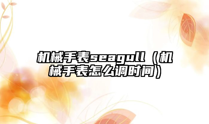 機械手表seagull（機械手表怎么調時間）