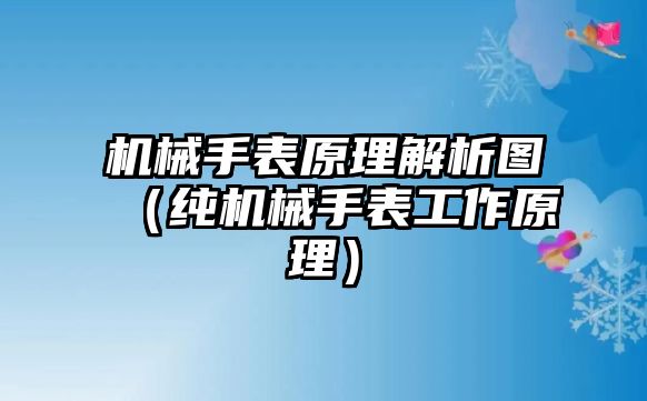 機械手表原理解析圖（純機械手表工作原理）