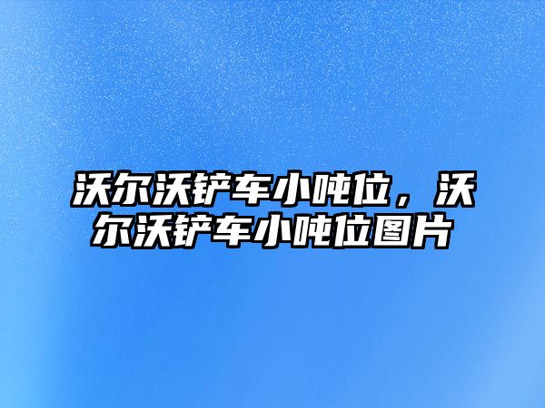 沃爾沃鏟車小噸位，沃爾沃鏟車小噸位圖片