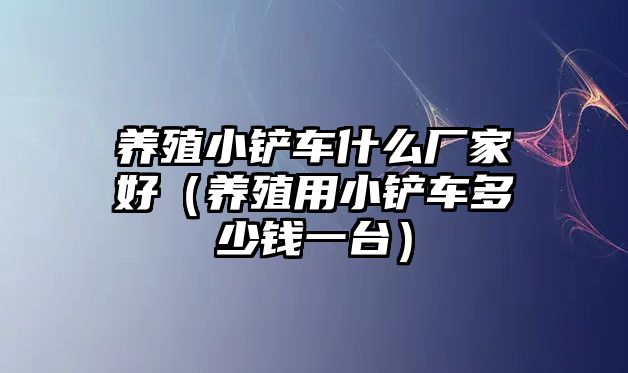 養殖小鏟車什么廠家好（養殖用小鏟車多少錢一臺）