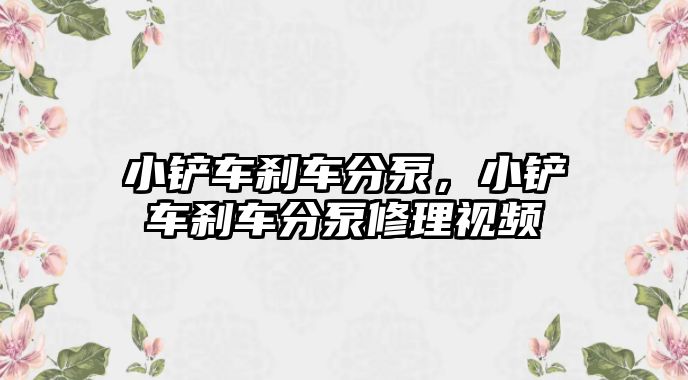 小鏟車剎車分泵，小鏟車剎車分泵修理視頻