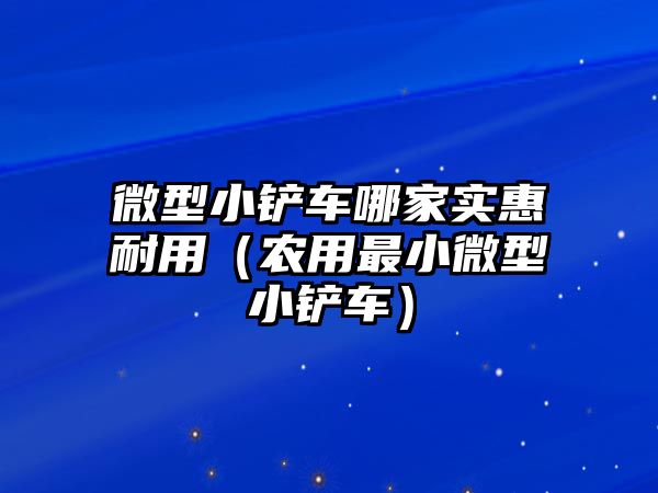 微型小鏟車哪家實惠耐用（農(nóng)用最小微型小鏟車）