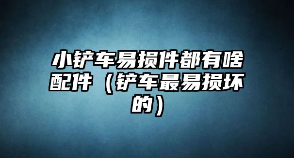 小鏟車易損件都有啥配件（鏟車最易損壞的）