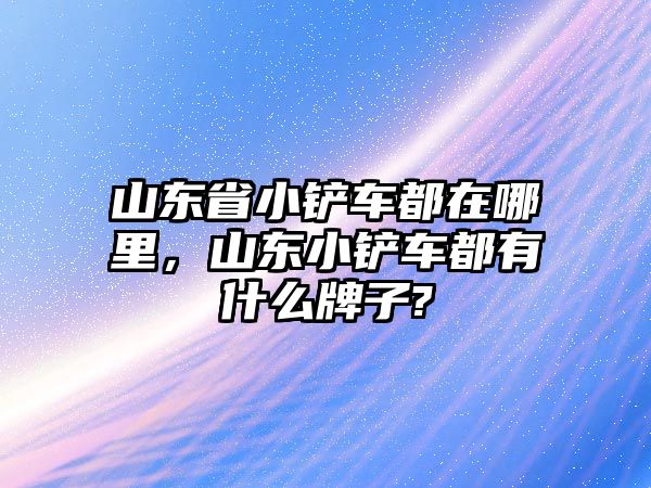 山東省小鏟車都在哪里，山東小鏟車都有什么牌子?