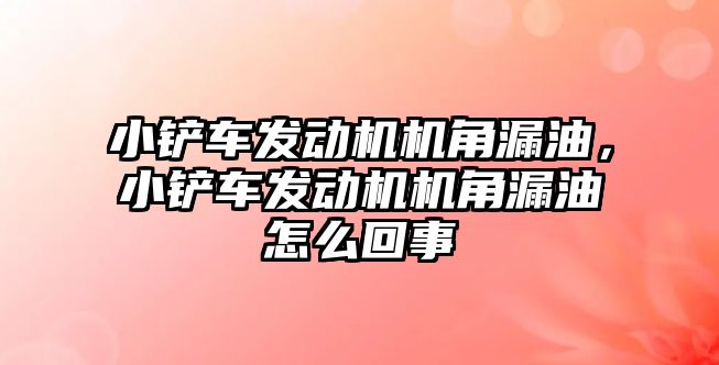 小鏟車發動機機角漏油，小鏟車發動機機角漏油怎么回事