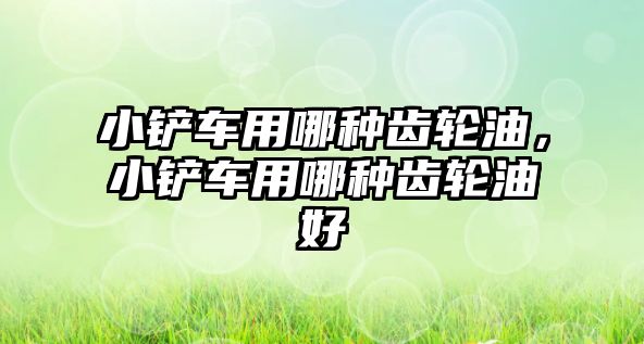 小鏟車用哪種齒輪油，小鏟車用哪種齒輪油好