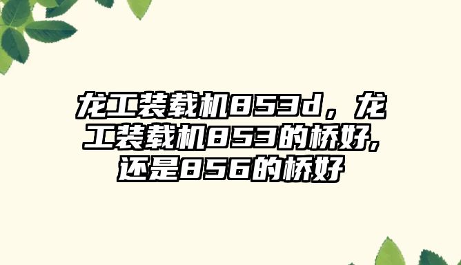 龍工裝載機853d，龍工裝載機853的橋好,還是856的橋好