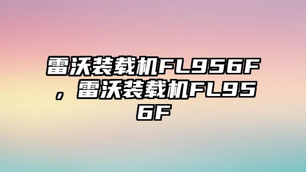 雷沃裝載機FL956F，雷沃裝載機FL956F