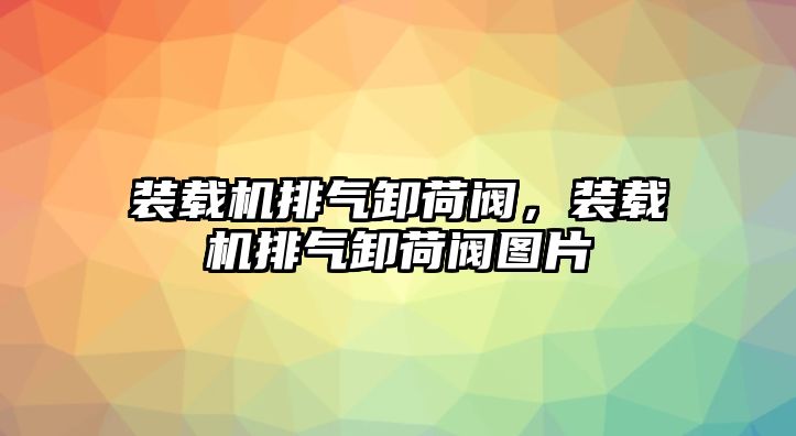 裝載機排氣卸荷閥，裝載機排氣卸荷閥圖片