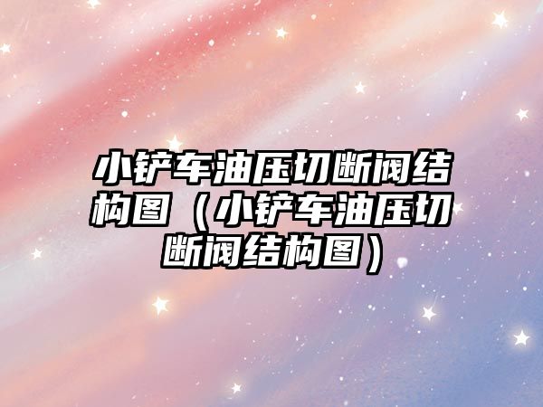 小鏟車油壓切斷閥結構圖（小鏟車油壓切斷閥結構圖）