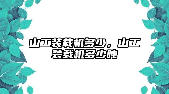 山工裝載機(jī)多少，山工裝載機(jī)多少噸