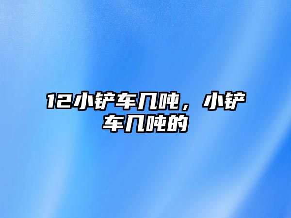 12小鏟車幾噸，小鏟車幾噸的