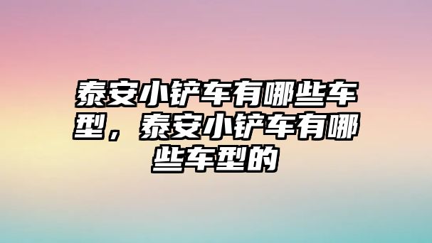 泰安小鏟車有哪些車型，泰安小鏟車有哪些車型的