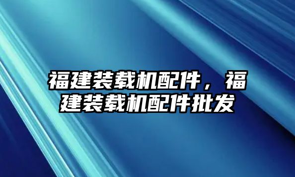 福建裝載機配件，福建裝載機配件批發(fā)