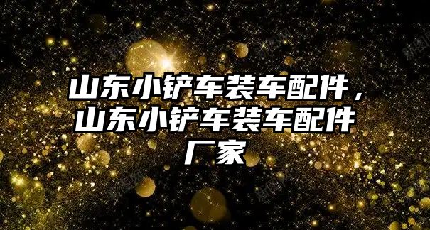 山東小鏟車裝車配件，山東小鏟車裝車配件廠家