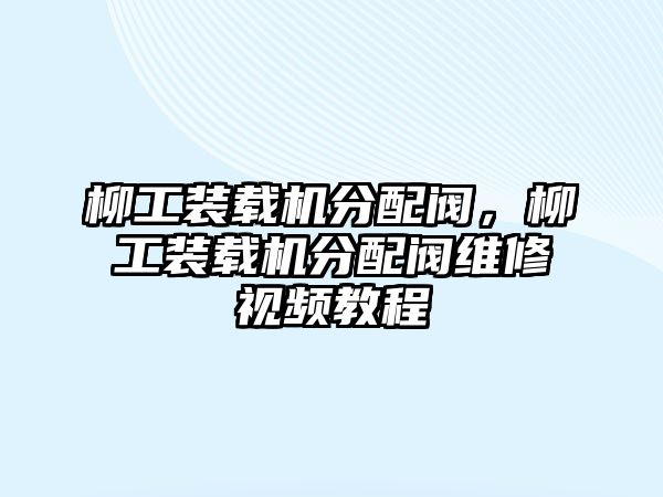 柳工裝載機分配閥，柳工裝載機分配閥維修視頻教程