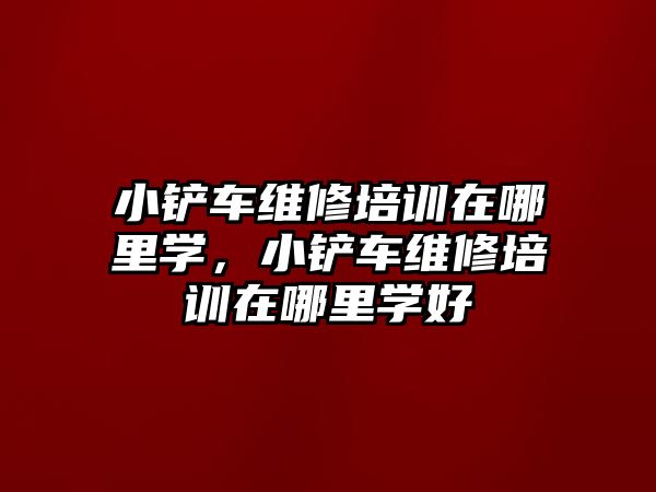 小鏟車維修培訓(xùn)在哪里學，小鏟車維修培訓(xùn)在哪里學好