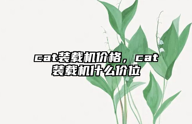 cat裝載機價格，cat裝載機什么價位