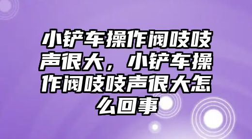 小鏟車操作閥吱吱聲很大，小鏟車操作閥吱吱聲很大怎么回事