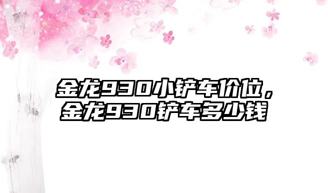 金龍930小鏟車價(jià)位，金龍930鏟車多少錢(qián)