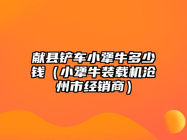 獻縣鏟車小犟牛多少錢（小犟牛裝載機滄州市經銷商）