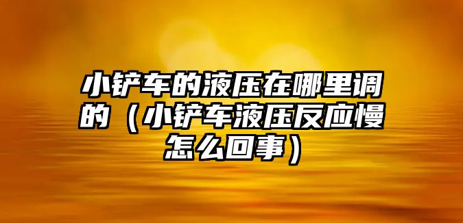 小鏟車的液壓在哪里調(diào)的（小鏟車液壓反應(yīng)慢怎么回事）