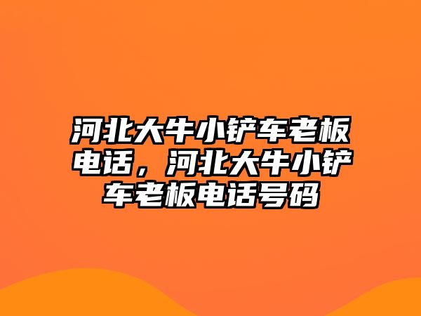 河北大牛小鏟車?yán)习咫娫挘颖贝笈Ｐ＄P車?yán)习咫娫捥柎a