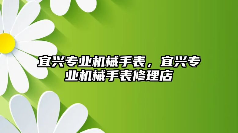 宜興專業機械手表，宜興專業機械手表修理店