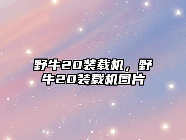 野牛20裝載機，野牛20裝載機圖片