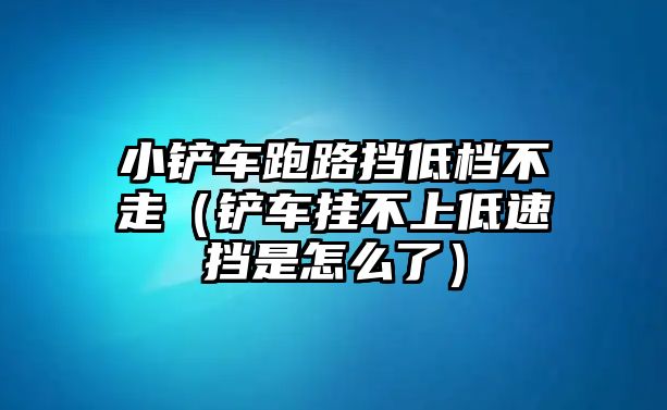 小鏟車跑路擋低檔不走（鏟車掛不上低速擋是怎么了）