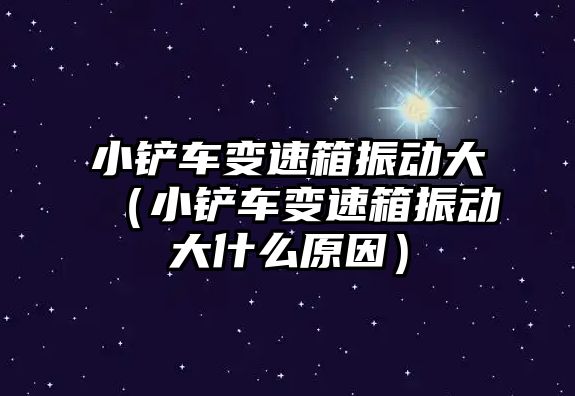 小鏟車變速箱振動大（小鏟車變速箱振動大什么原因）