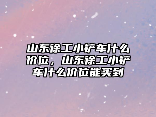 山東徐工小鏟車什么價位，山東徐工小鏟車什么價位能買到