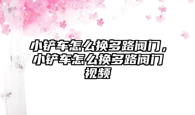 小鏟車怎么換多路閥門，小鏟車怎么換多路閥門視頻