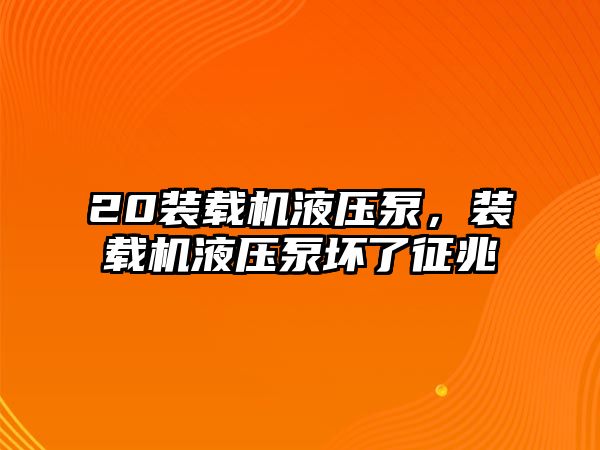 20裝載機液壓泵，裝載機液壓泵壞了征兆