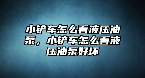 小鏟車怎么看液壓油泵，小鏟車怎么看液壓油泵好壞