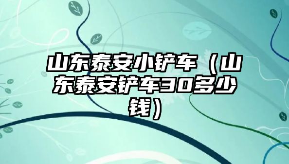 山東泰安小鏟車（山東泰安鏟車30多少錢）