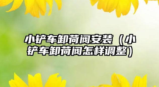 小鏟車卸荷閥安裝（小鏟車卸荷閥怎樣調整）