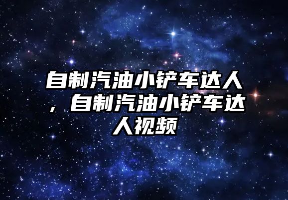 自制汽油小鏟車達人，自制汽油小鏟車達人視頻