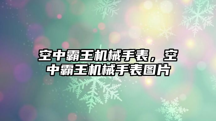 空中霸王機械手表，空中霸王機械手表圖片