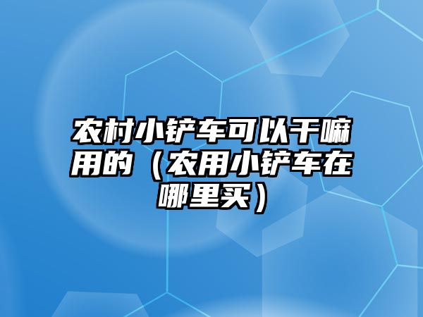 農村小鏟車可以干嘛用的（農用小鏟車在哪里買）