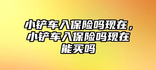 小鏟車入保險嗎現在，小鏟車入保險嗎現在能買嗎