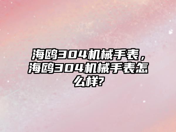 海鷗304機械手表，海鷗304機械手表怎么樣?