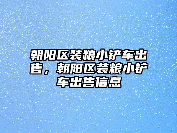 朝陽區裝糧小鏟車出售，朝陽區裝糧小鏟車出售信息