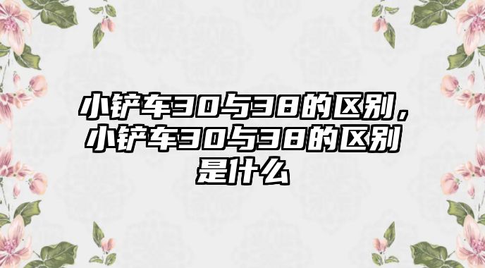 小鏟車(chē)30與38的區(qū)別，小鏟車(chē)30與38的區(qū)別是什么