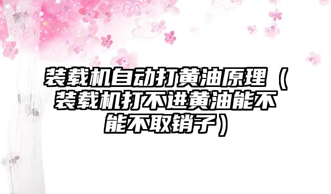 裝載機自動打黃油原理（裝載機打不進黃油能不能不取銷子）